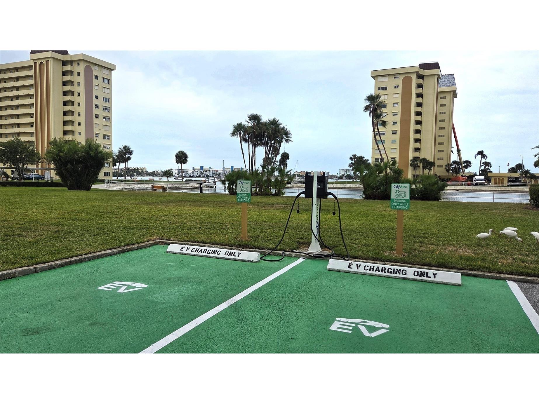 4550 Cove Circle #406 Saint Petersburg FL 33708 TB8457353 image22