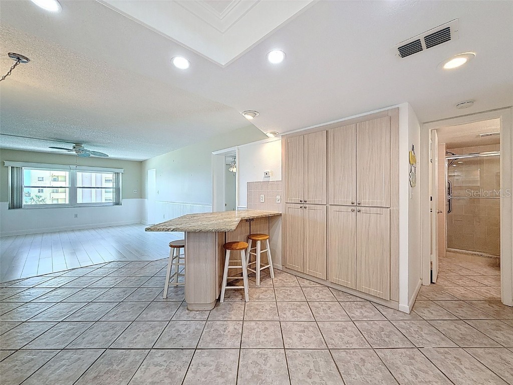 4550 Cove Circle #507 Saint Petersburg FL 33708 W7878989 image8