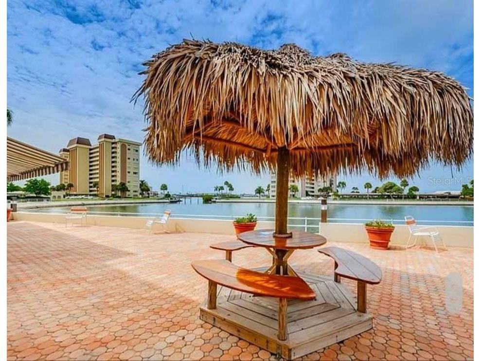 4550 Cove Circle #808 Saint Petersburg FL 33708 TB8526693 image20