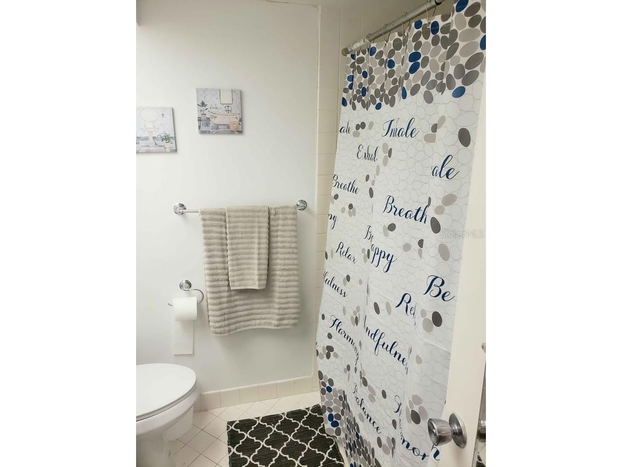 4550 Cove Circle #808 Saint Petersburg FL 33708 TB8526693 image22