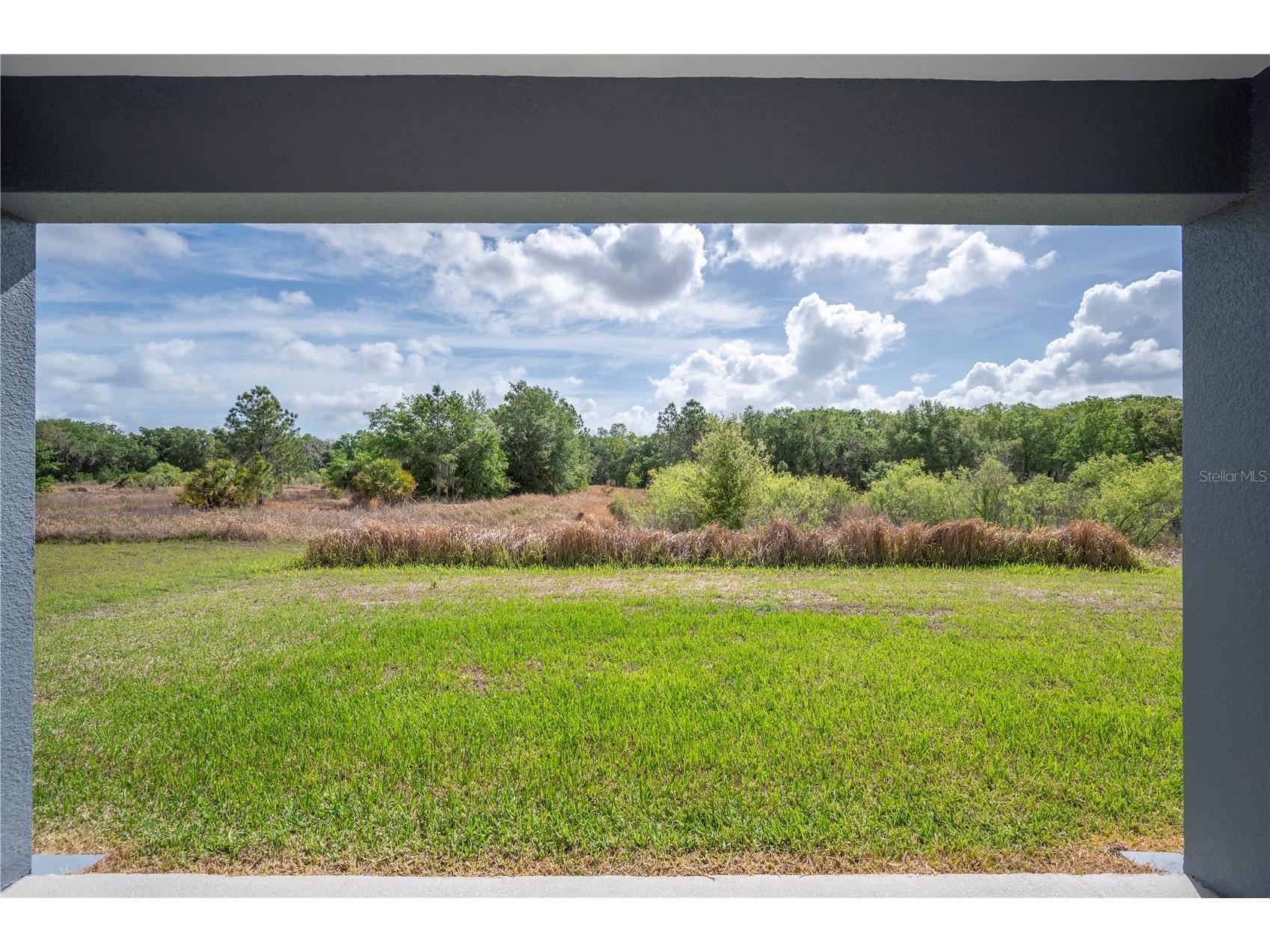 4550 Fairway Oaks Drive Mulberry FL 33860 L4960852 image35