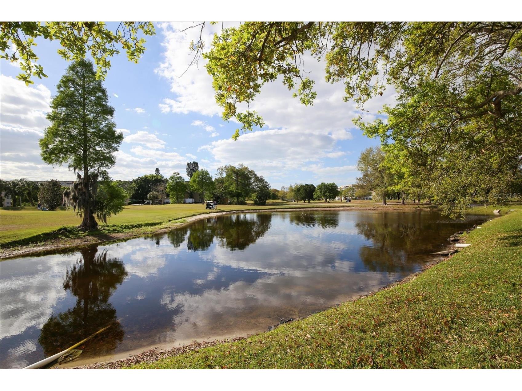 4550 Pinebrook Circle #403 Bradenton FL 34209 N6145033 image56