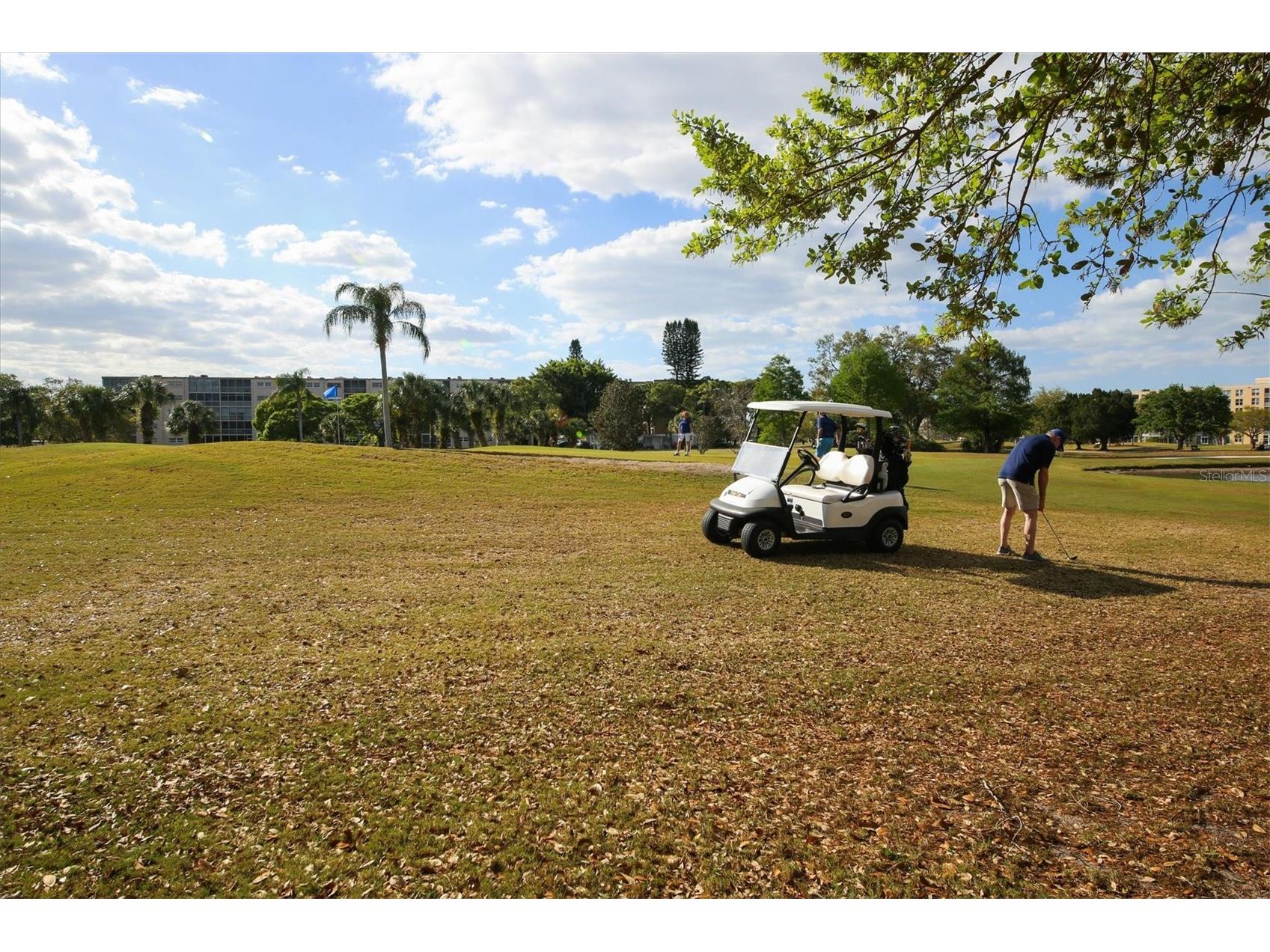 4550 Pinebrook Circle #403 Bradenton FL 34209 N6145033 image57
