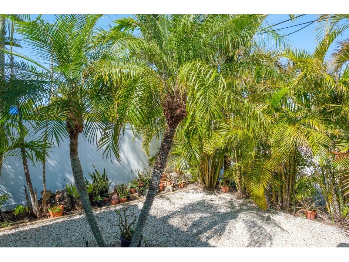 4550 Plaza Way Saint Pete Beach FL 33706 TB8454605 image29