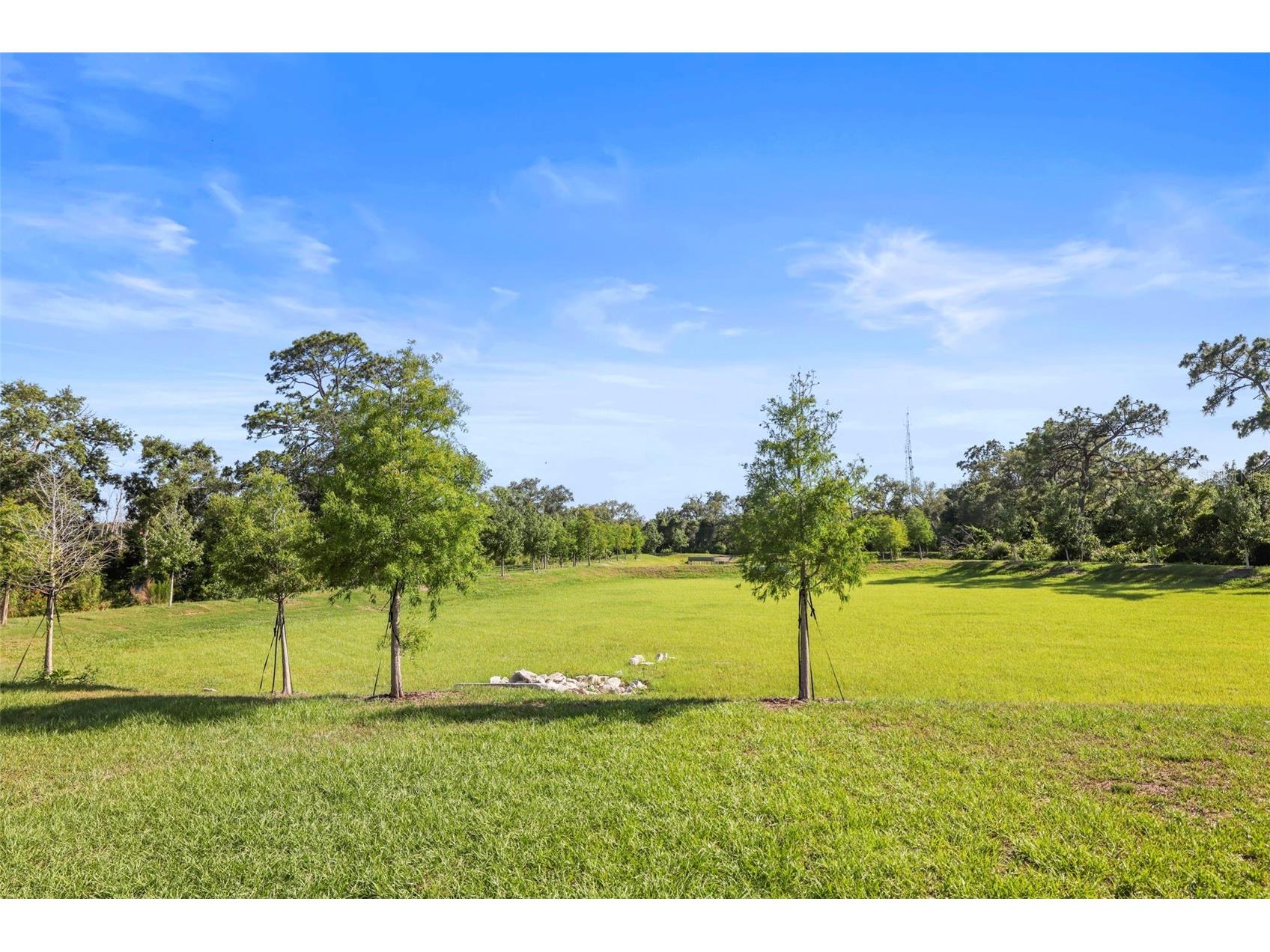 4550 Stargazer Court Palm Harbor FL 34683 TB8511554 image10