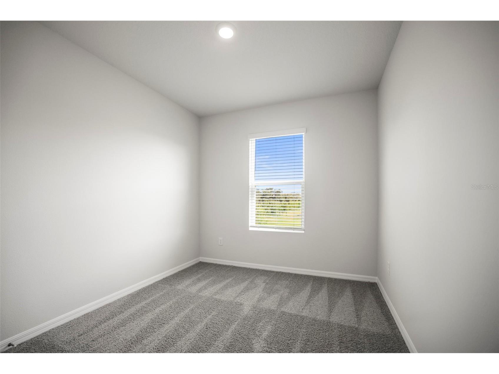 4550 Stargazer Court Palm Harbor FL 34683 TB8511554 image12