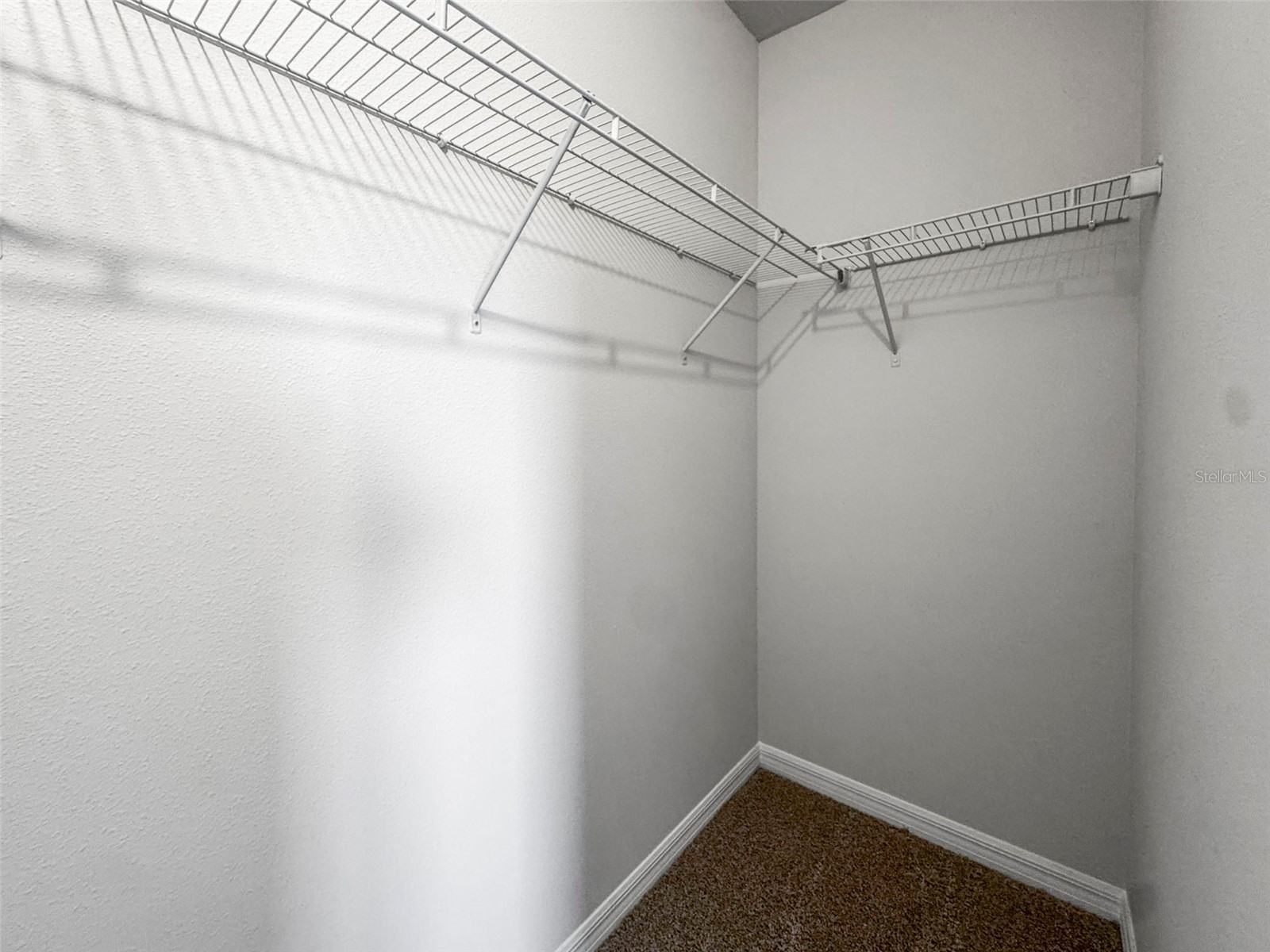 4550 Stargazer Court Palm Harbor FL 34683 TB8511554 image18