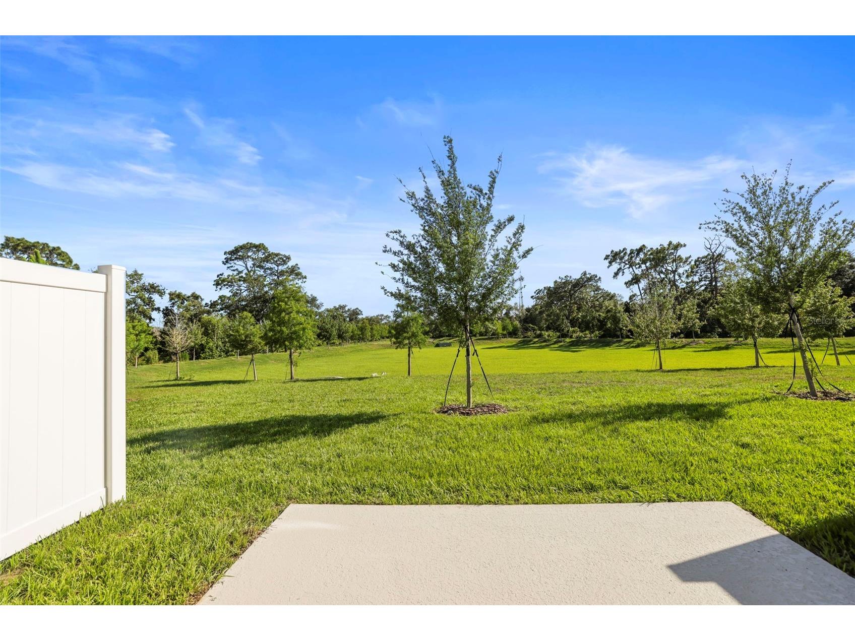 4550 Stargazer Court Palm Harbor FL 34683 TB8511554 image6