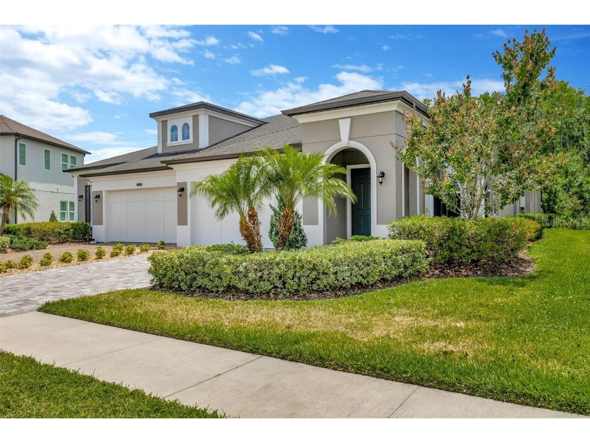 4551 Barletta Court Wesley Chapel FL 33543 TB8382963 image1