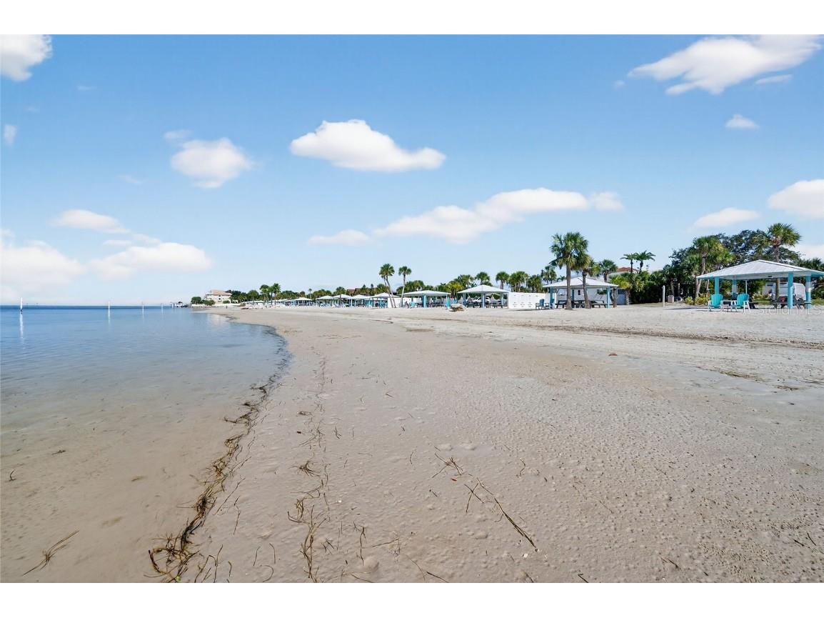 4551 Floramar Terrace New Port Richey FL 34652 TB8442149 image39