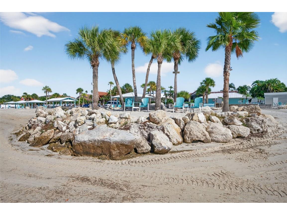 4551 Floramar Terrace New Port Richey FL 34652 TB8442149 image41