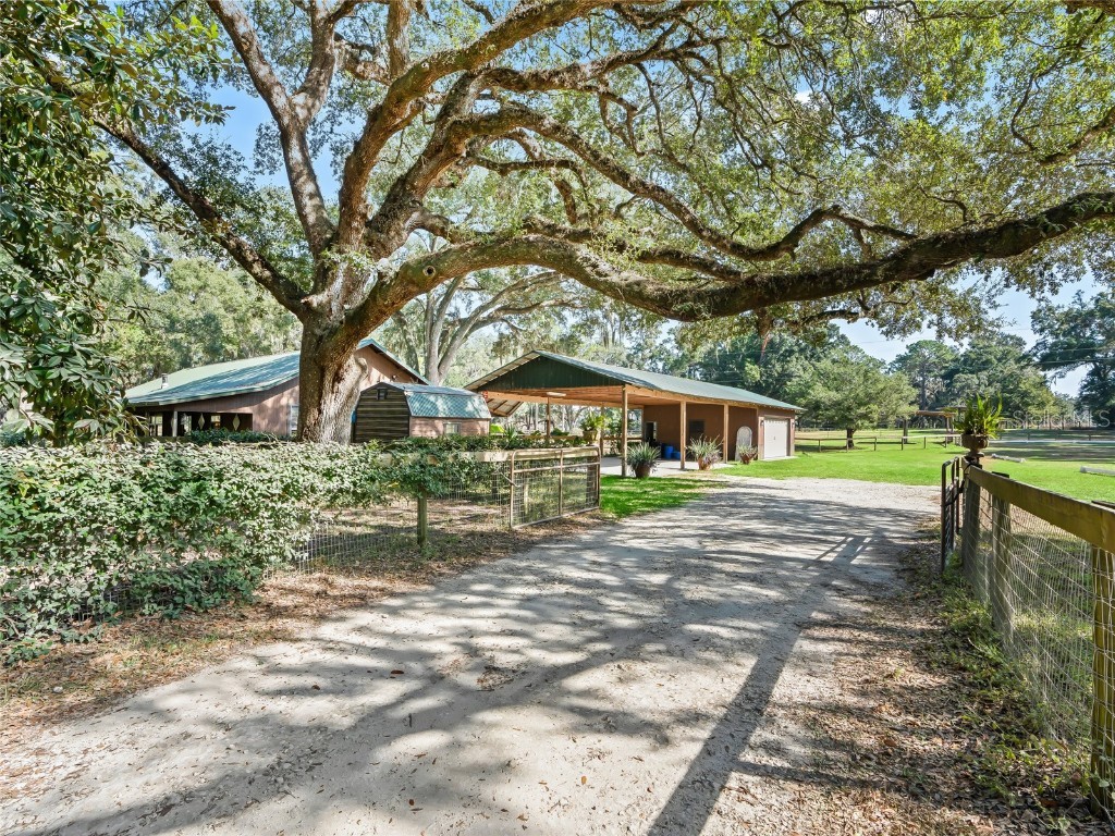 4551 NE 160th Avenue Williston FL 32696 OM713882 image1