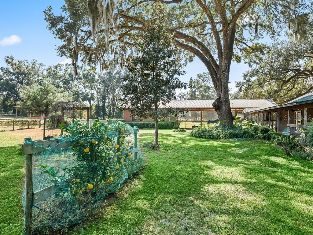 4551 NE 160th Avenue Williston FL 32696 OM713882 image28