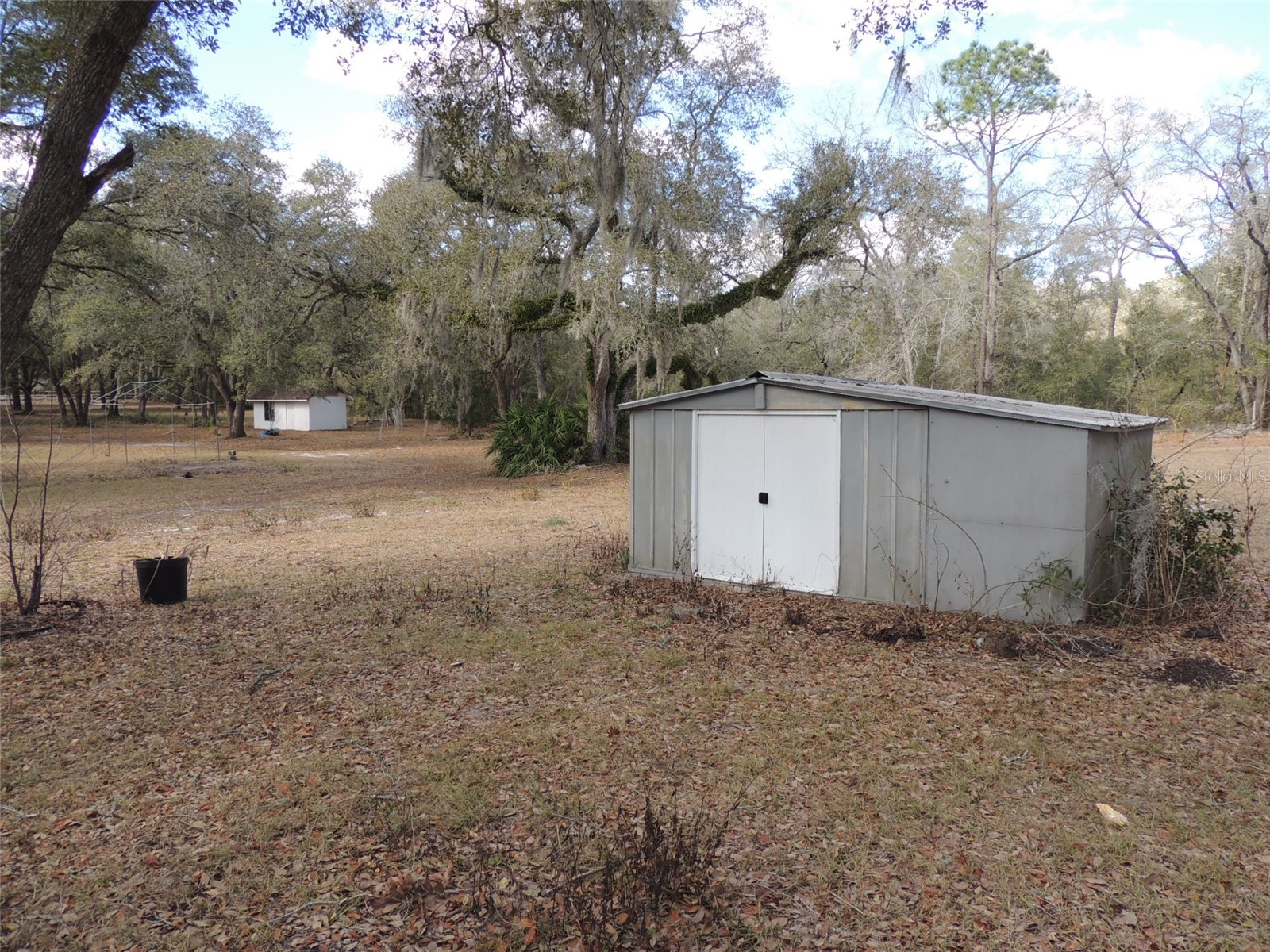 4551 SE 138th Terrace Morriston FL 32668 OM719044 image10