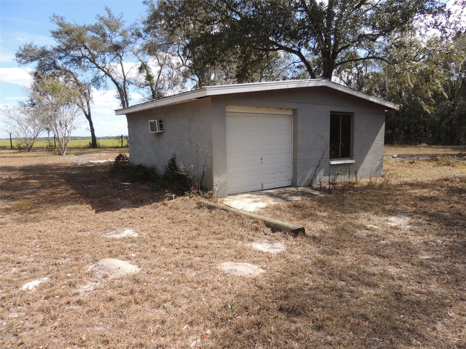 4551 SE 138th Terrace Morriston FL 32668 OM719044 image11