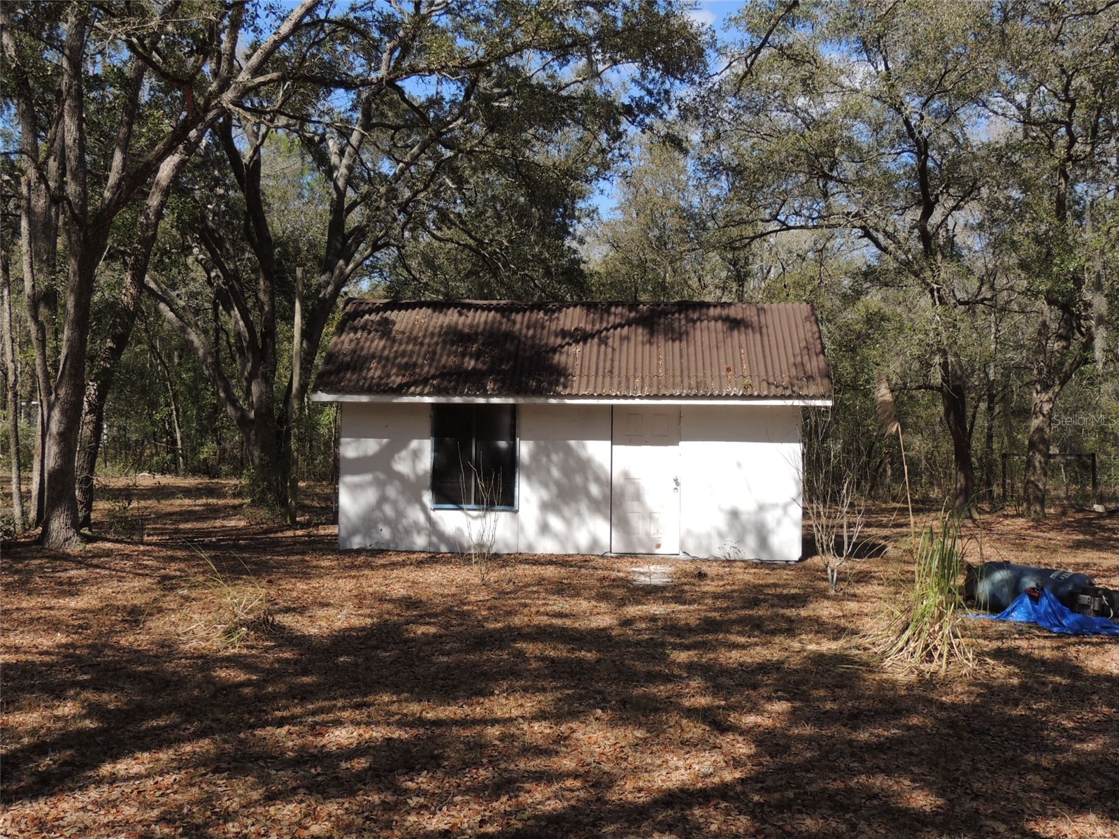 4551 SE 138th Terrace Morriston FL 32668 OM719044 image14