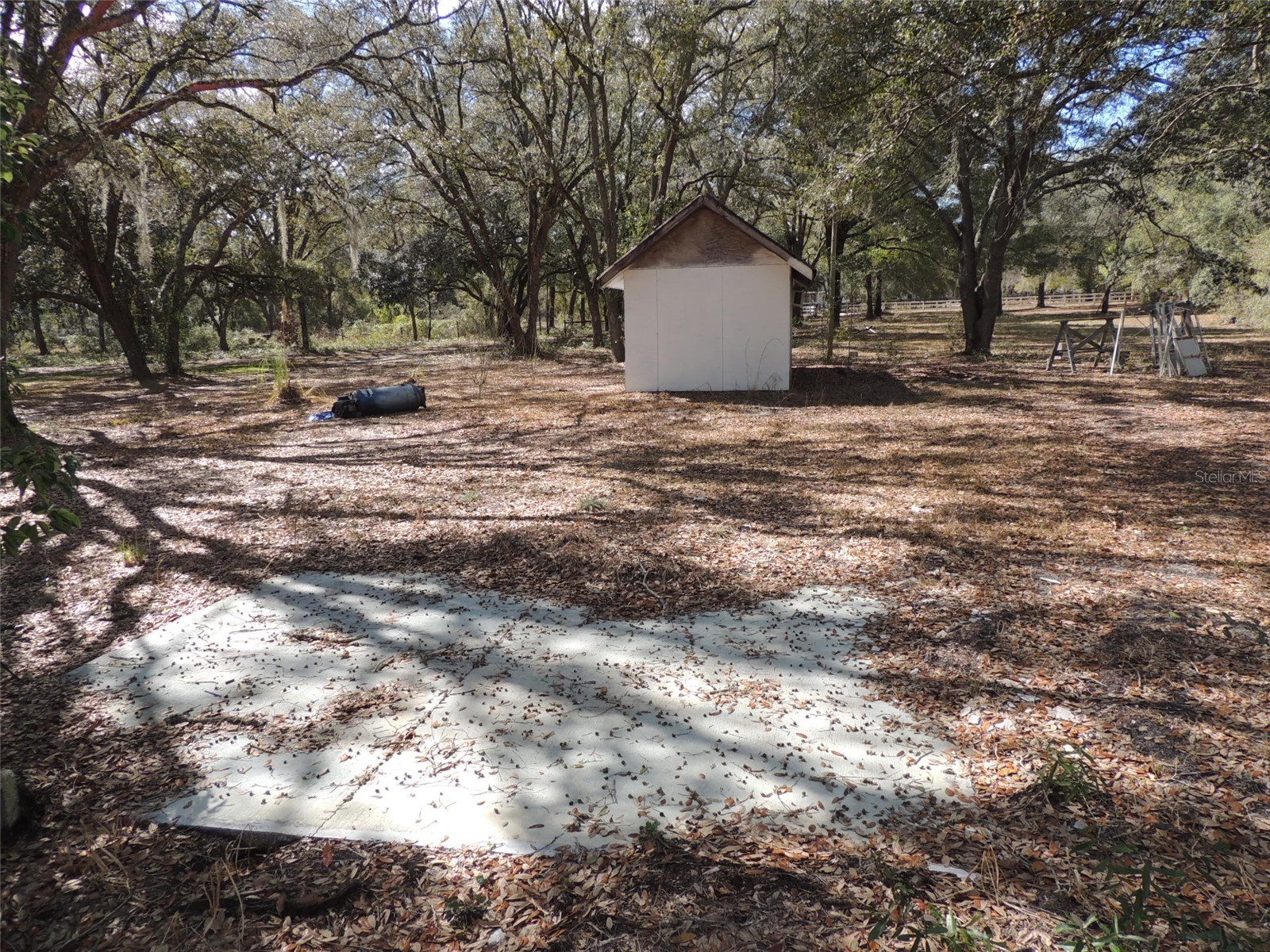 4551 SE 138th Terrace Morriston FL 32668 OM719044 image15