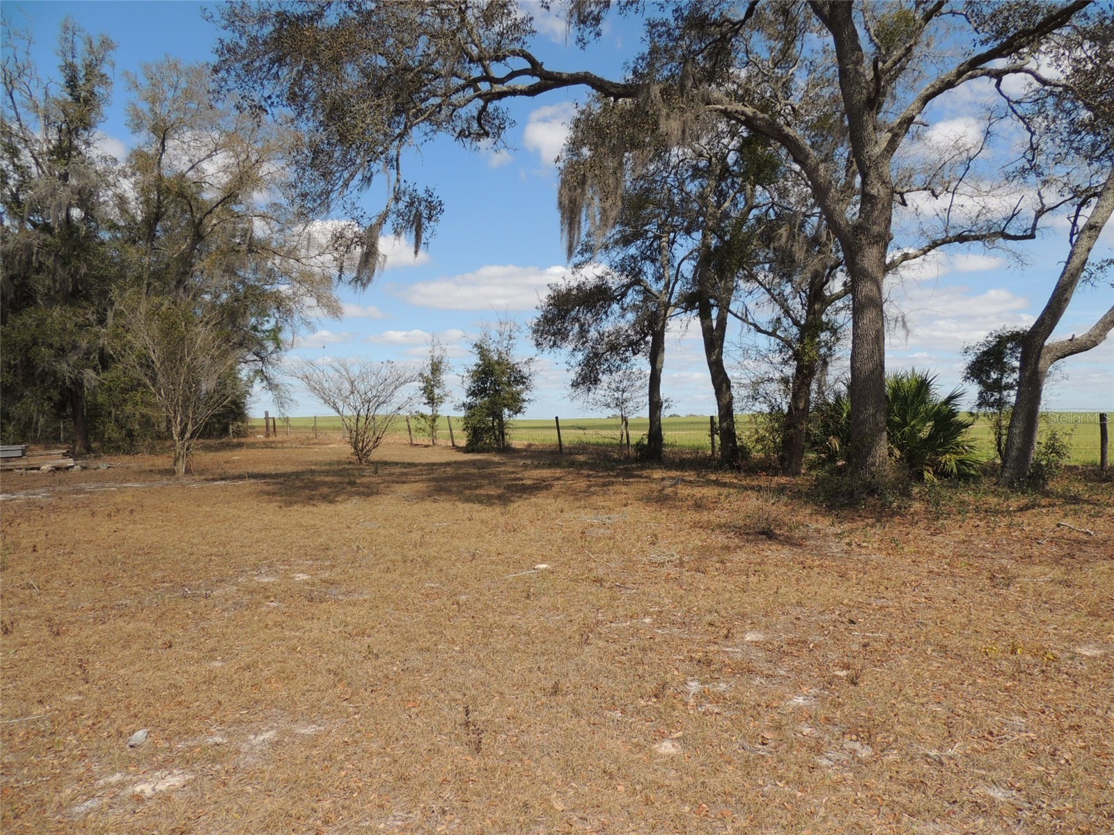 4551 SE 138th Terrace Morriston FL 32668 OM719044 image16