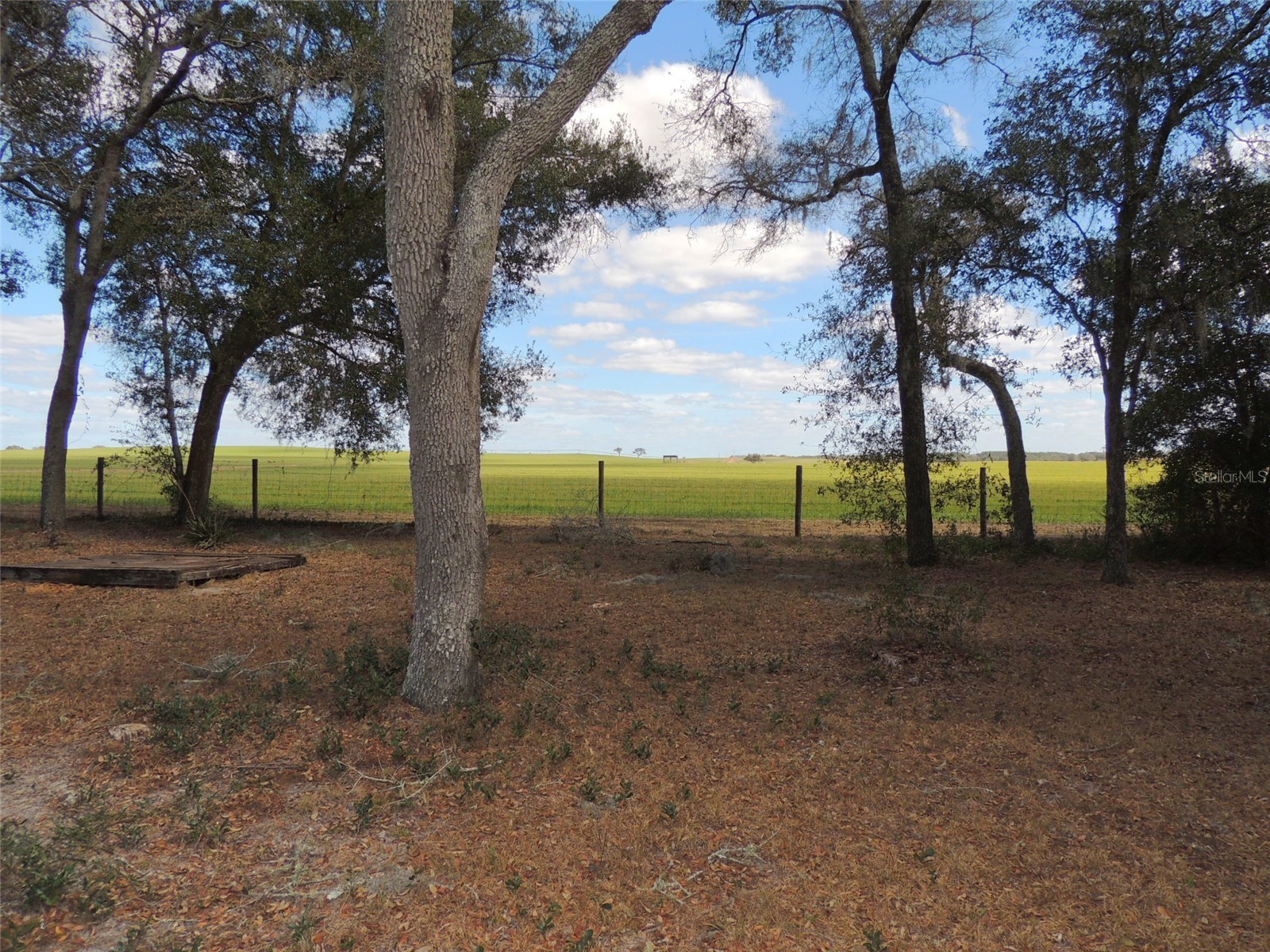 4551 SE 138th Terrace Morriston FL 32668 OM719044 image17