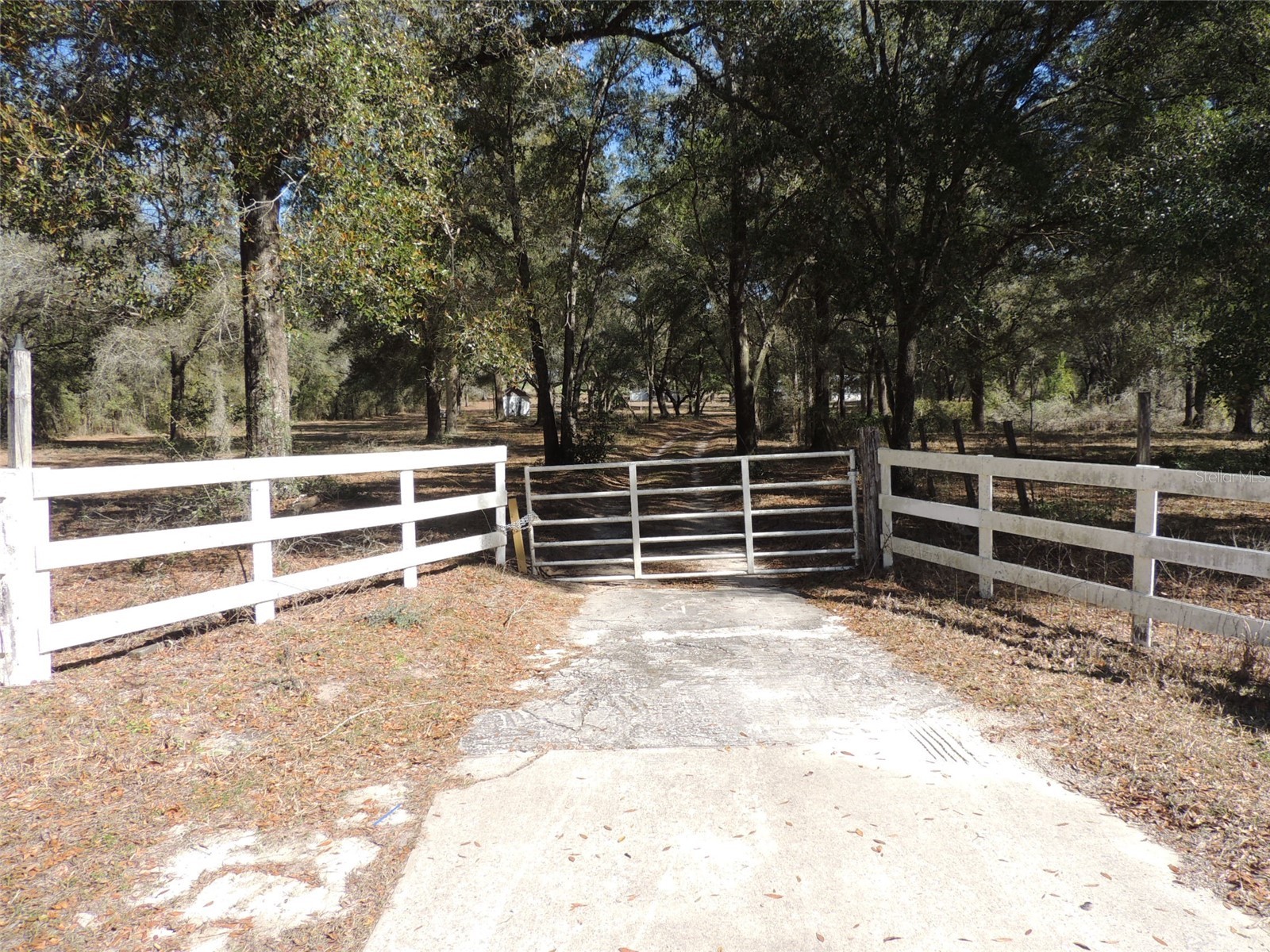 4551 SE 138th Terrace Morriston FL 32668 OM719044 image2