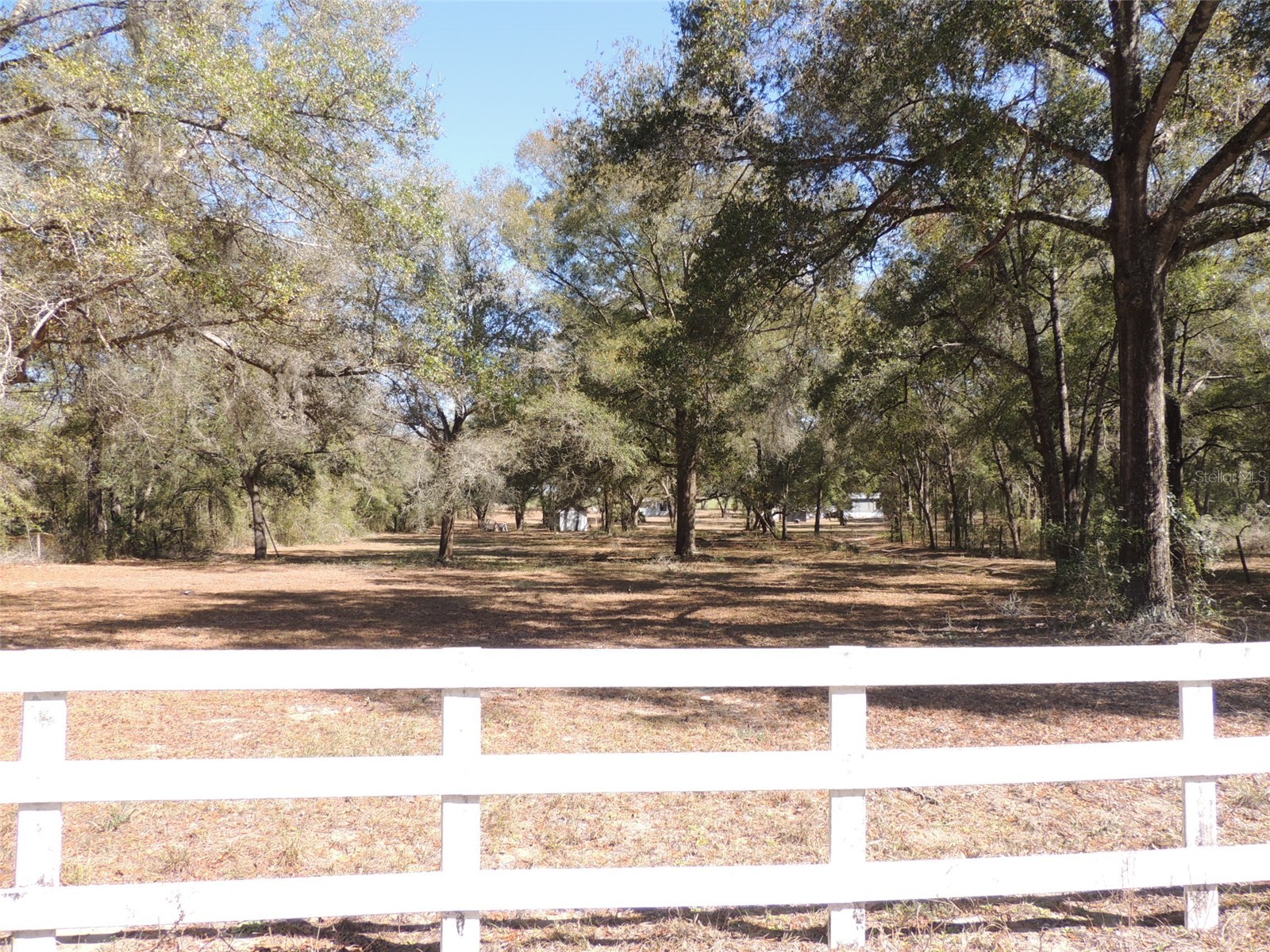 4551 SE 138th Terrace Morriston FL 32668 OM719044 image3