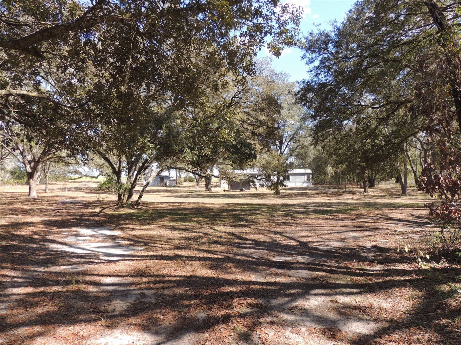 4551 SE 138th Terrace Morriston FL 32668 OM719044 image4