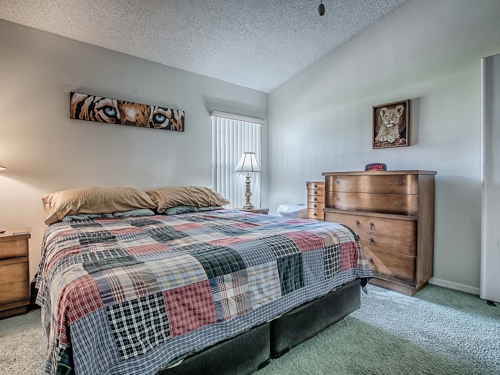 4552 Peach Tree Street Leesburg FL 34748 G5106405 image20