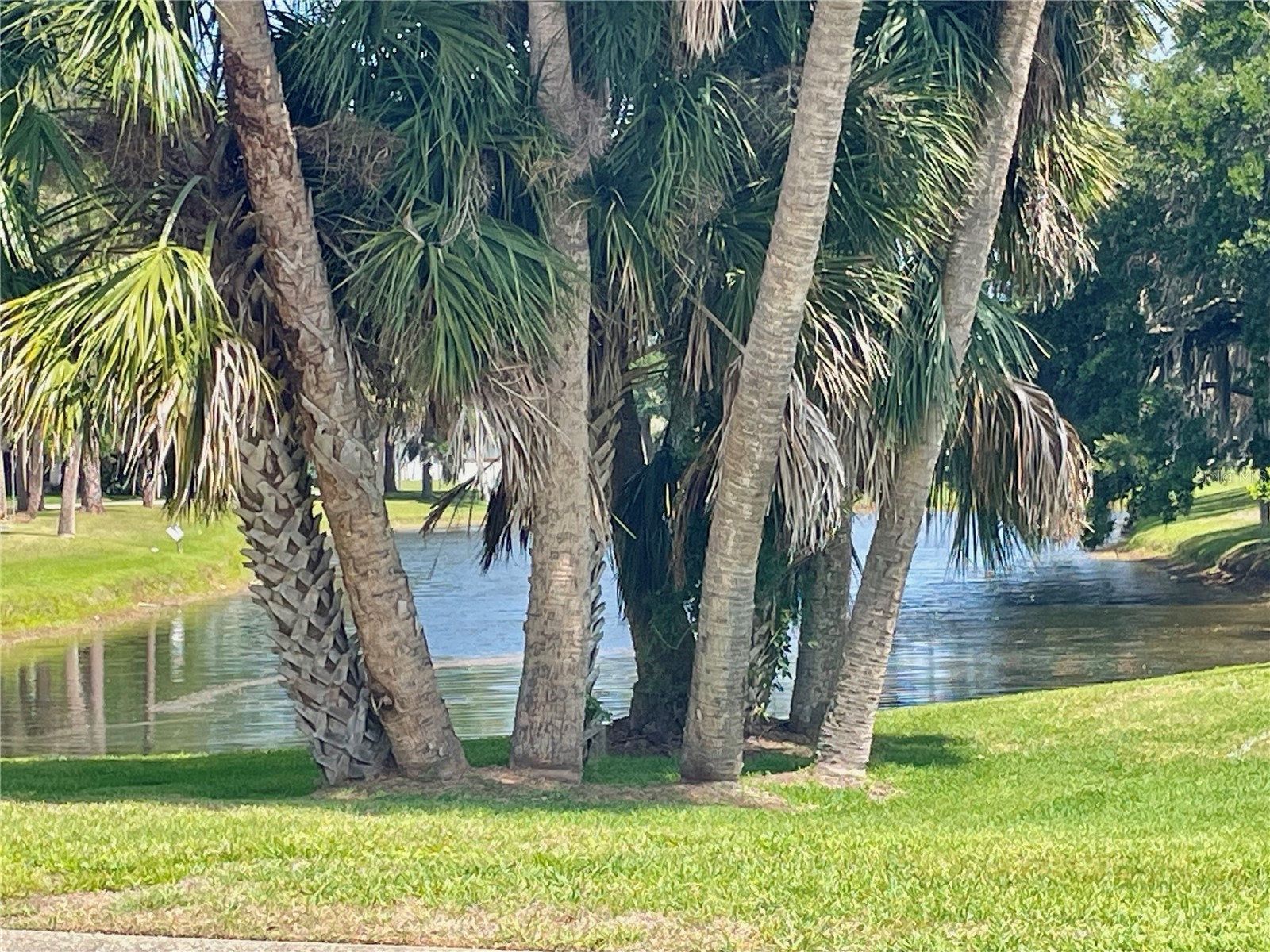 4552 Rockledge Lane Port Orange FL 32127 O6403467 image72