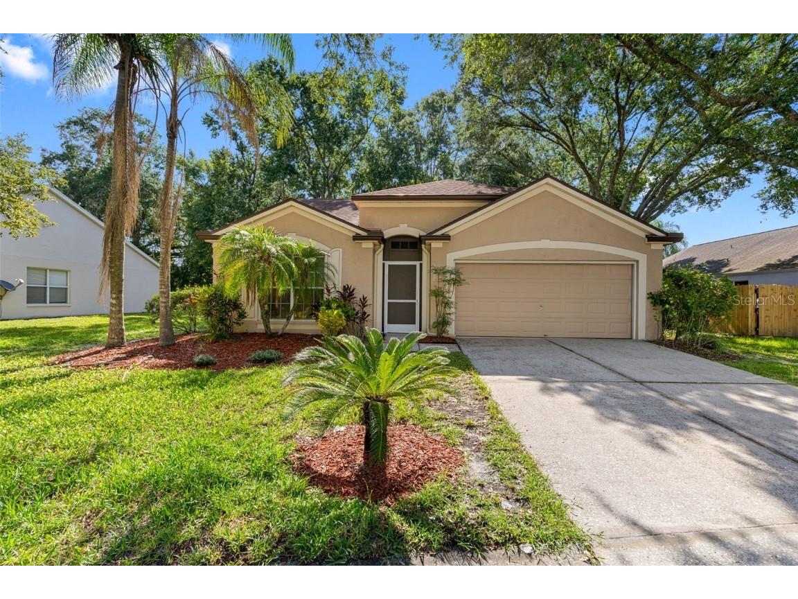 4552 Steel Dust Lane Lutz FL 33559 T3541280 image1