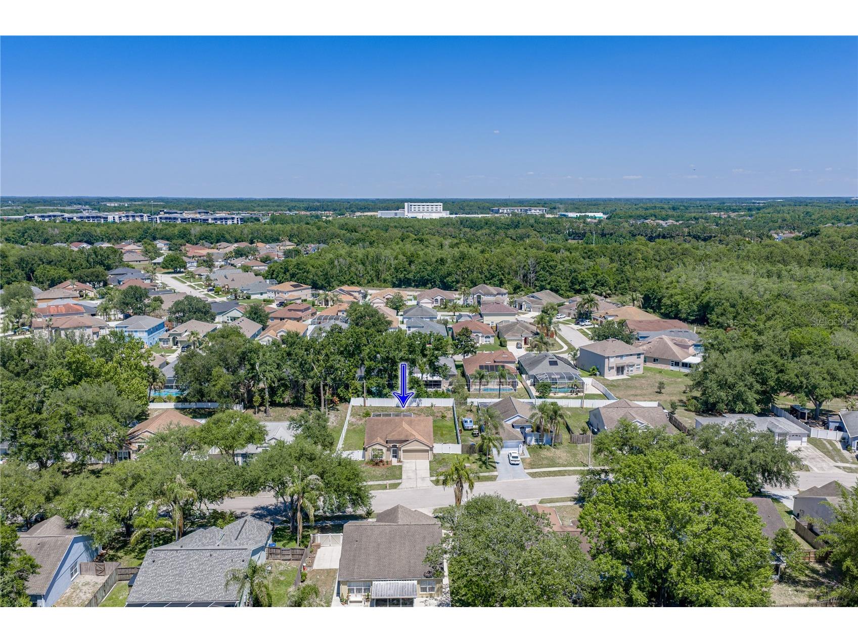 4552 Steel Dust Lane Lutz FL 33559 TB8509951 image59