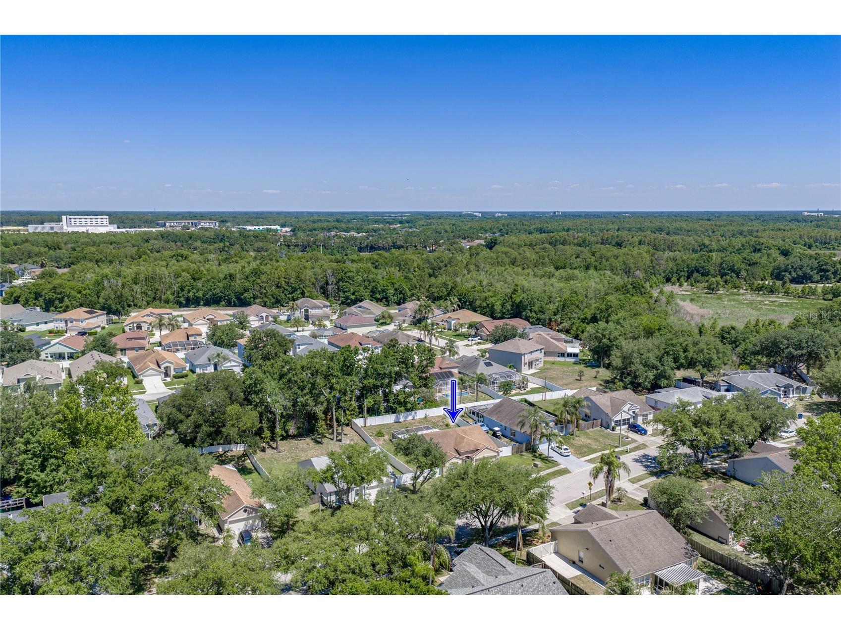 4552 Steel Dust Lane Lutz FL 33559 TB8509951 image77