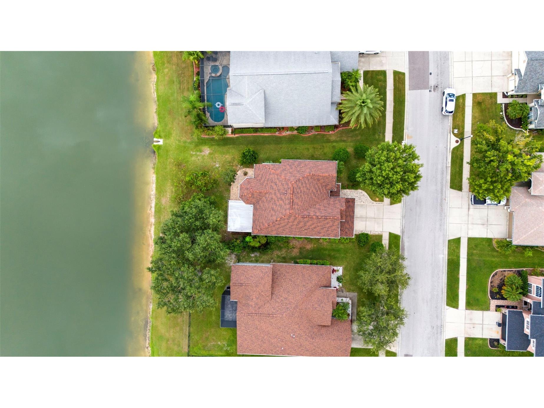 4553 Pointe O Woods Drive Wesley Chapel FL 33543 TB8459968 image39