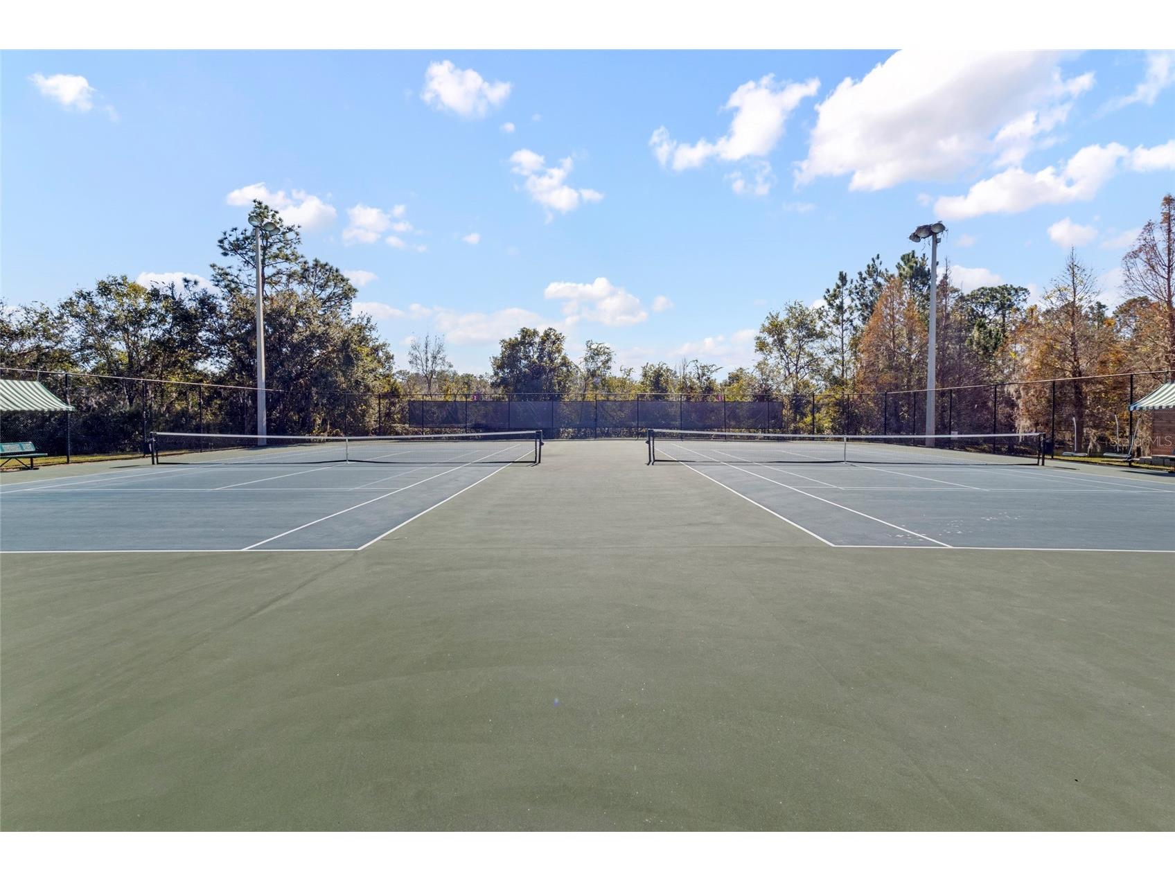 4553 Pointe O Woods Drive Wesley Chapel FL 33543 TB8459968 image42