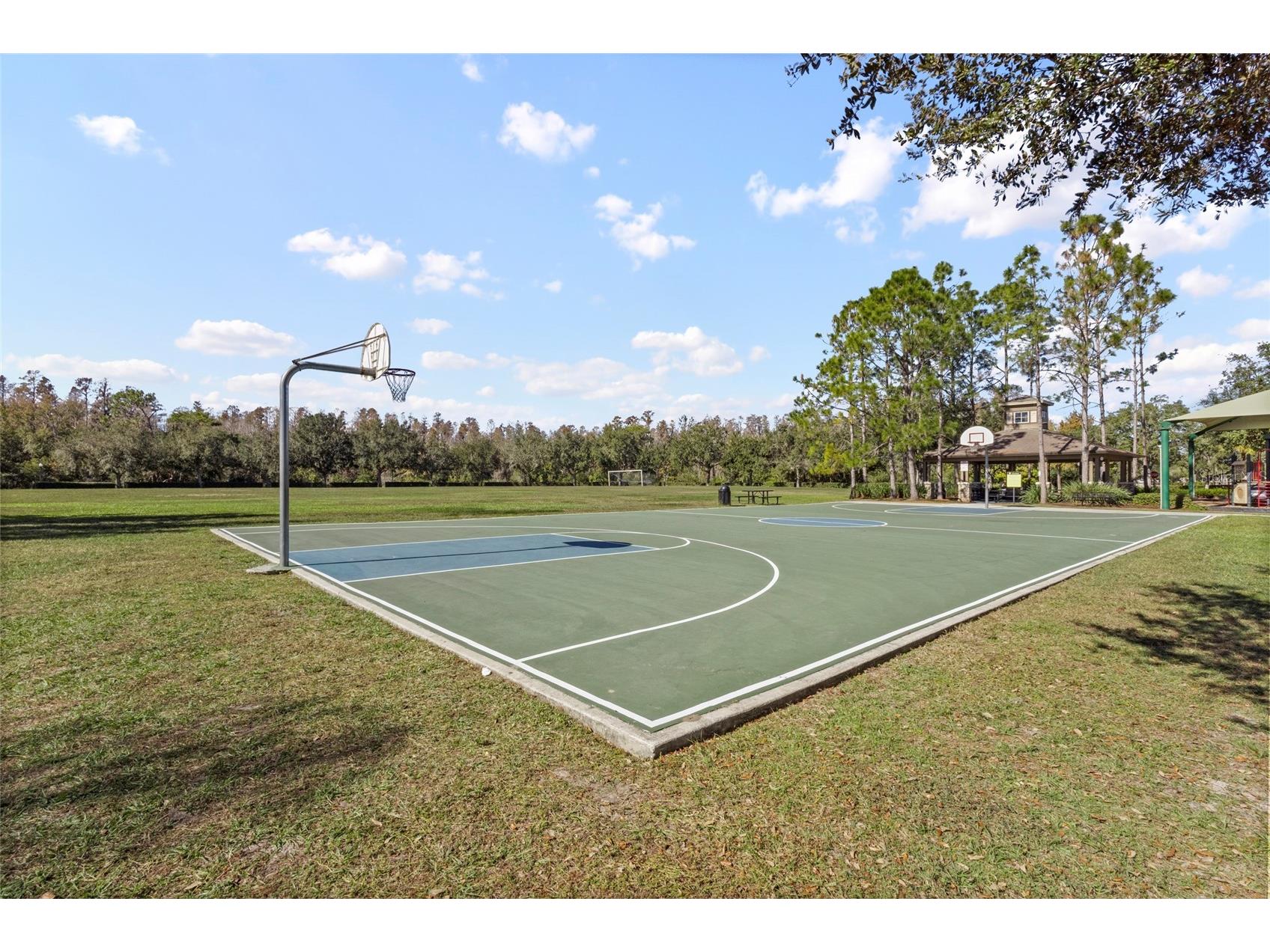 4553 Pointe O Woods Drive Wesley Chapel FL 33543 TB8459968 image43