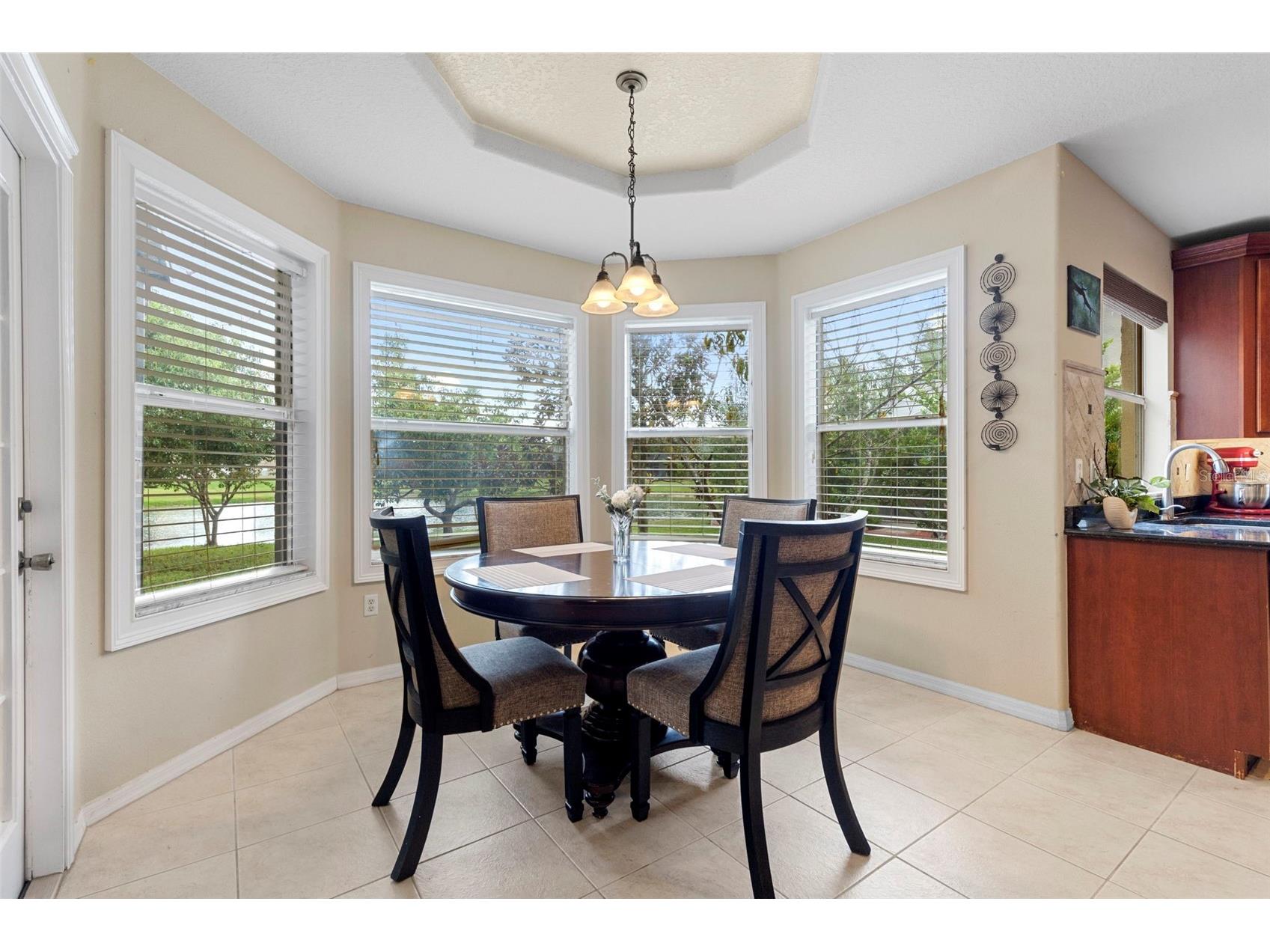 4553 Pointe O Woods Drive Wesley Chapel FL 33543 TB8459968 image7