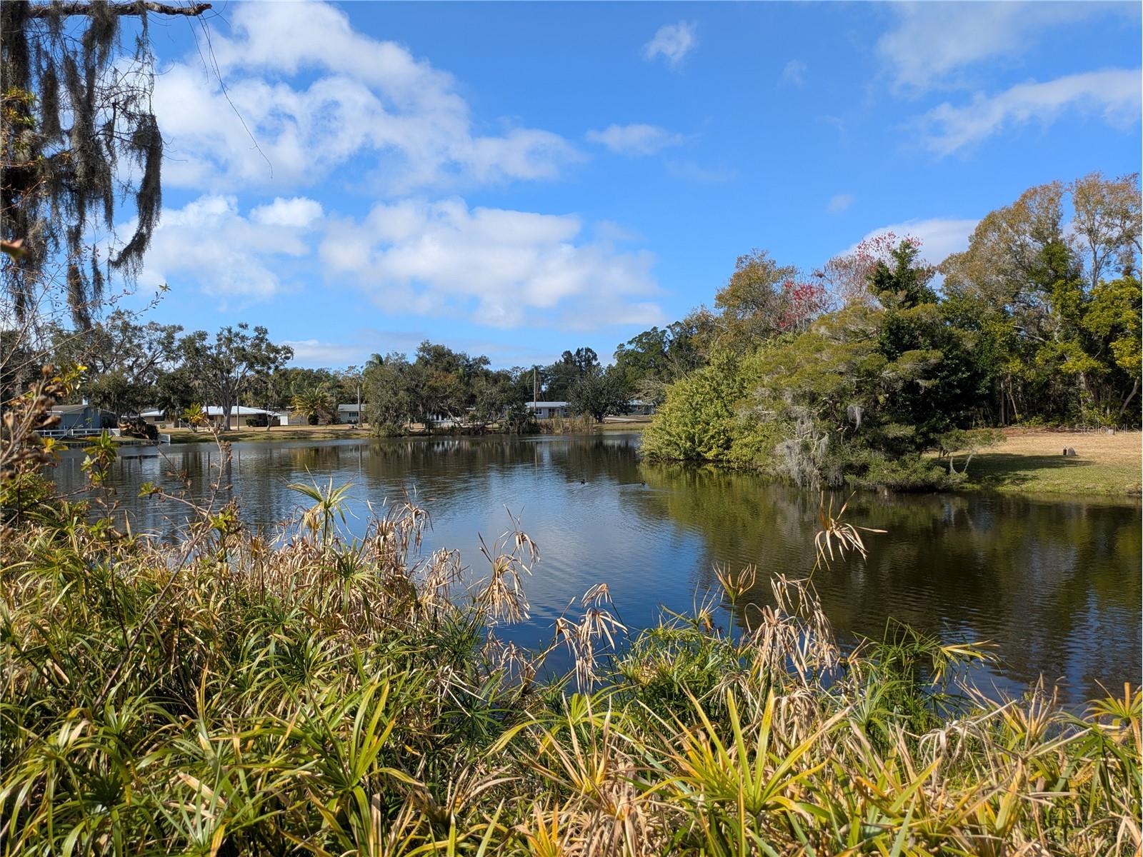 4554 Cooper Road Sarasota FL 34232 - NICE POND A4682274 image38