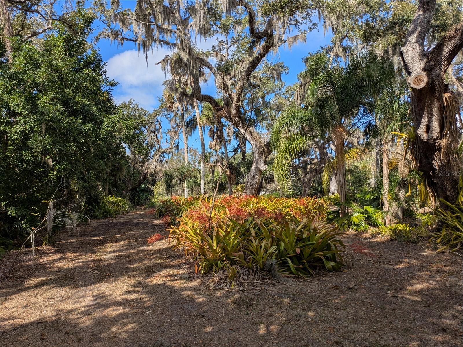 4554 Cooper Road Sarasota FL 34232 - NICE POND A4682274 image39