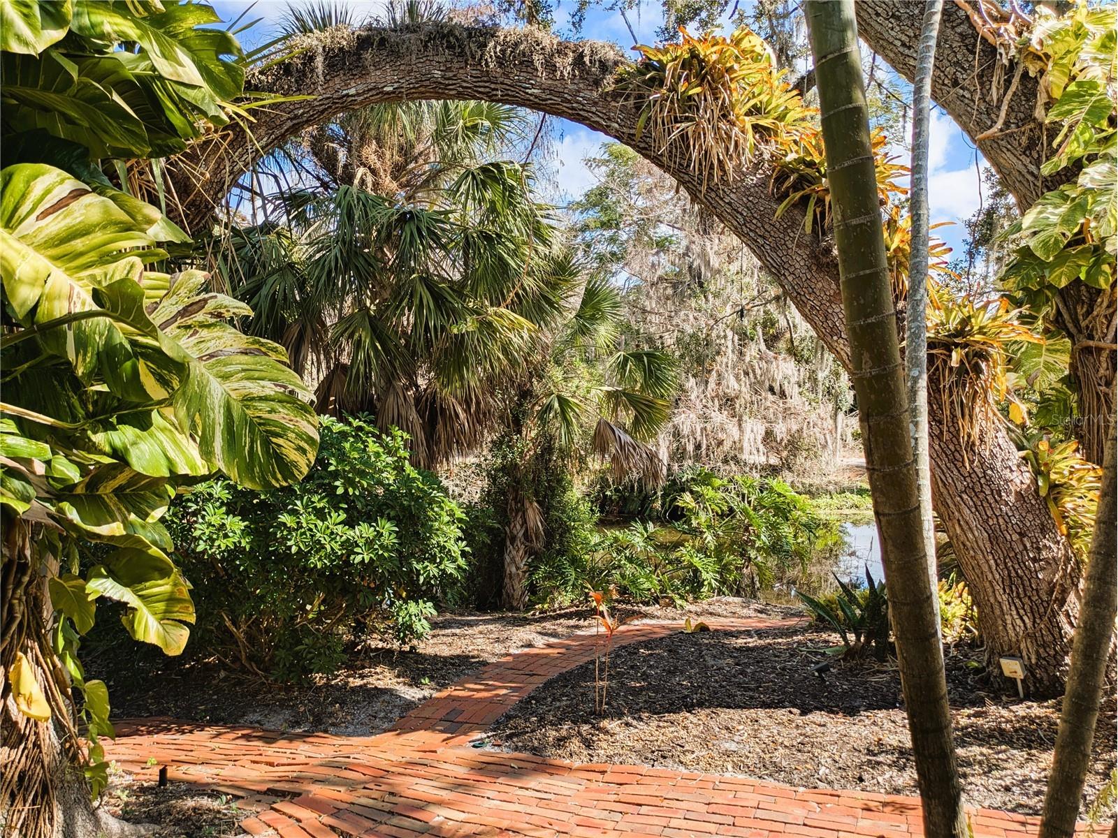 4554 Cooper Road Sarasota FL 34232 - NICE POND A4682274 image42