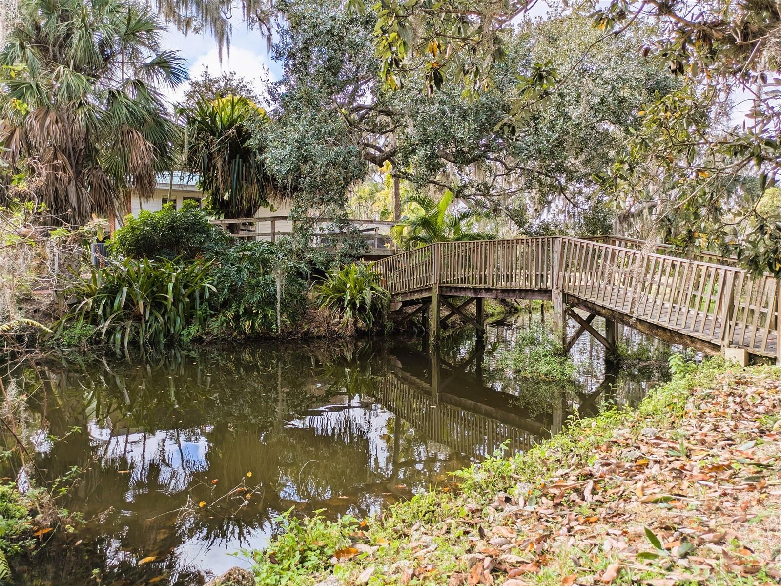4554 Cooper Road Sarasota FL 34232 - NICE POND A4682274 image43