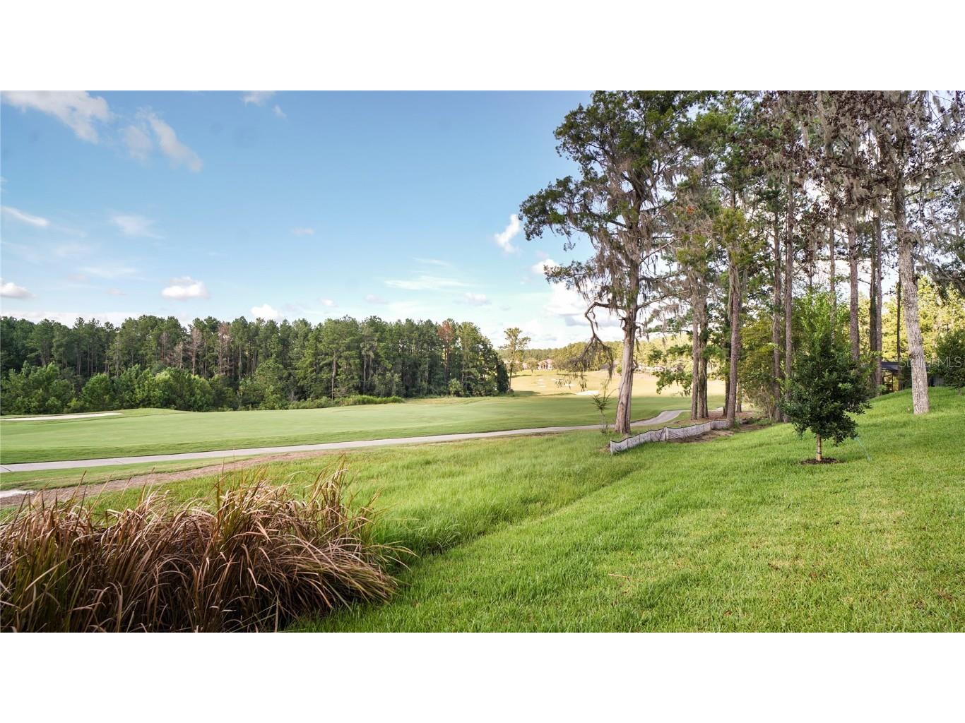 4555 Hickory Oak Drive Brooksville FL 34601 TB8318985 image8