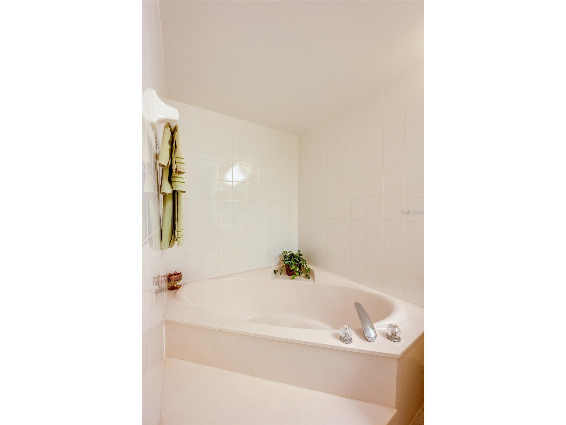 4555 S Atlantic Avenue #4304 Port Orange FL 32127 FC318450 image23