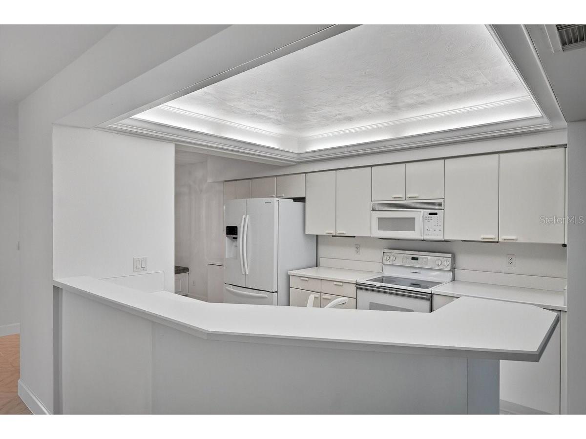 4555 S Atlantic Avenue #4411 Port Orange FL 32127 NS1087447 image11