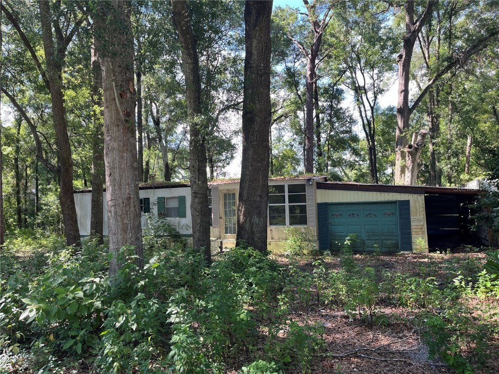 4555 SE 136th Street Summerfield FL 34491 O6217210 image1