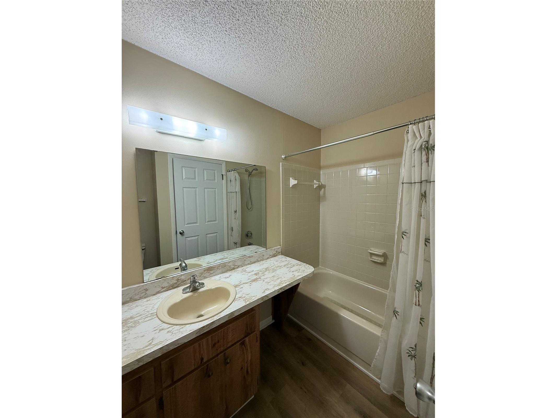 4556 Blossom Boulevard #4556 Zephyrhills FL 33542 TB8480908 image3