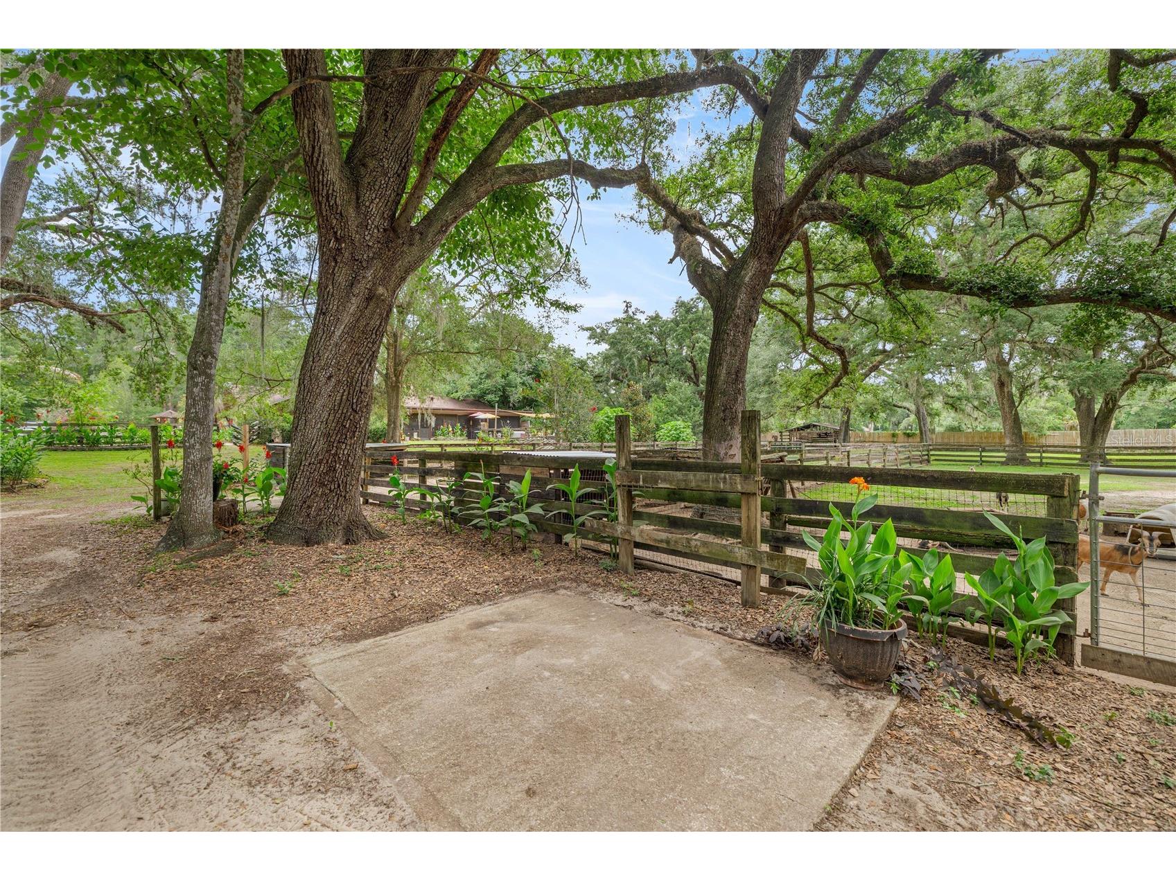 4556 E View Top Lane Inverness FL 34452 TB8523326 image68