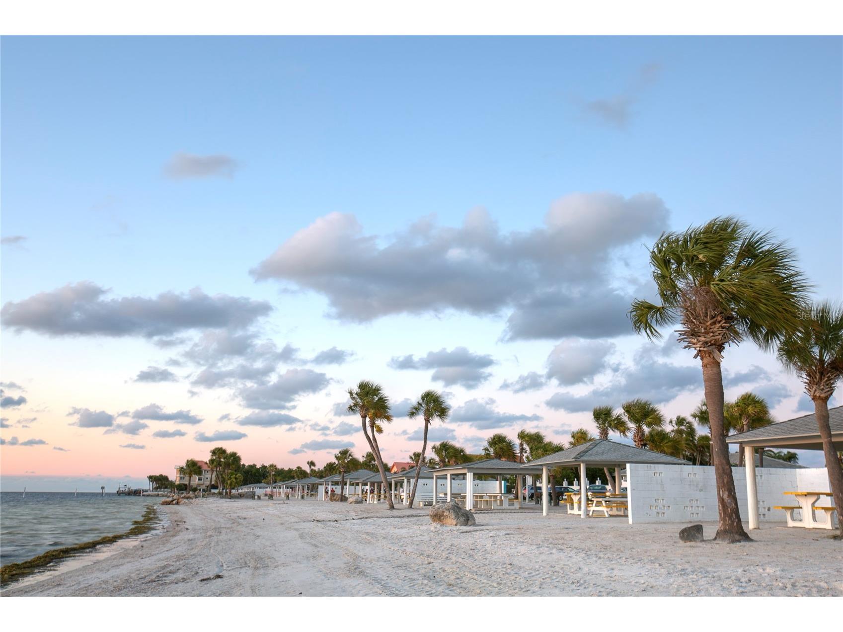 4557 Garnet Drive #102 New Port Richey FL 34652 W7882462 image15