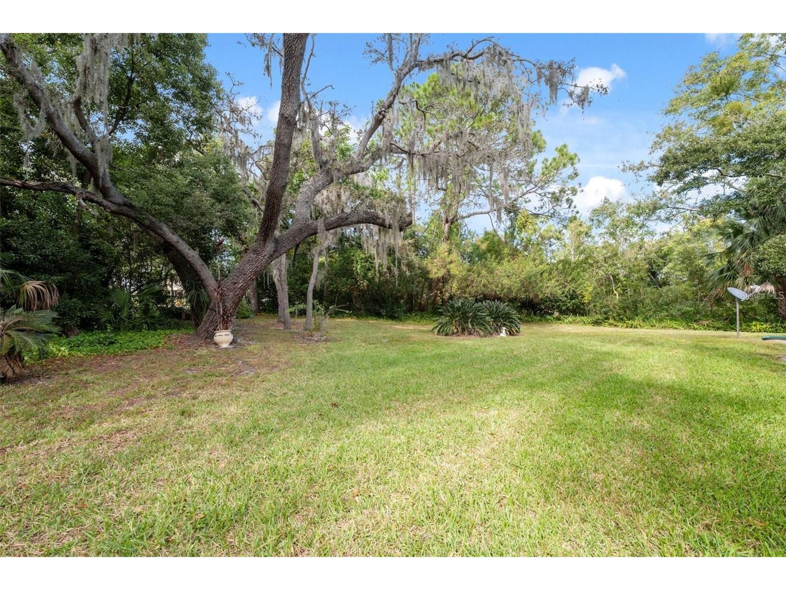 4557 Glen Hollow New Port Richey FL 34653 TB8508455 image24