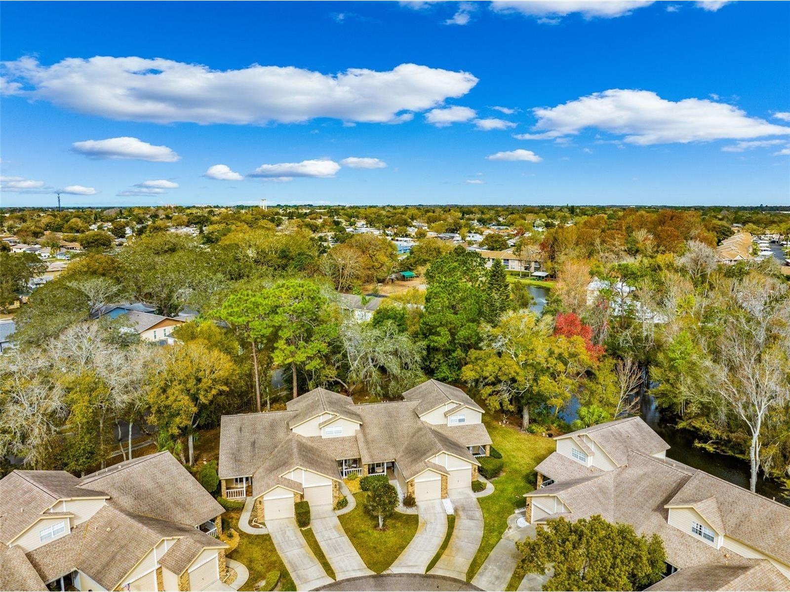 4557 Glen Hollow New Port Richey FL 34653 TB8508455 image25