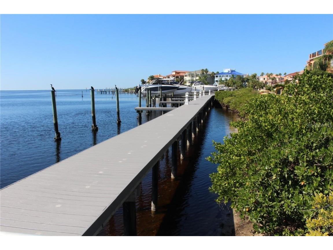 4557 Harborpointe Drive Port Richey FL 34668 TB8391786 image3