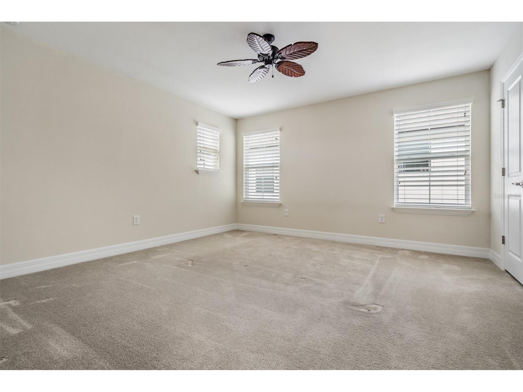 4557 Vermillion Sky Drive Wesley Chapel FL 33544 TB8492442 image36